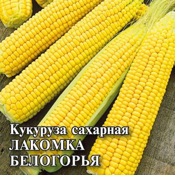 Кукуруза сахарная Лакомка Белогорья